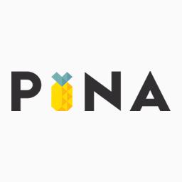 PT Pina Aplikasi Bersama